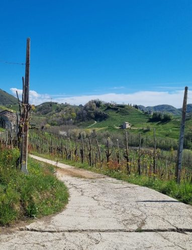 Rive-and-more-tour-esperienze-colline-prosecco-valdobbiadene-passeggiata